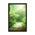 POSTER – SENTIERO SULL'ISOLA SEYCHELLES - NATURA - POSTER