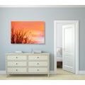 CANVAS PRINT COLORFUL SKY - PICTURES OF NATURE AND LANDSCAPE - PICTURES