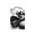 POSTER WITH MOUNT BEAUTIFUL INTERPLAY OF STONES AND ORCHIDS IN BLACK AND WHITE - BLACK AND WHITE - POSTERS