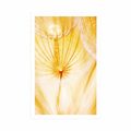 POSTER DANDELION IN YELLOW DESIGN - FLOWERS - POSTERS