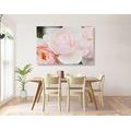 CANVAS PRINT FULL OF ROSES - PICTURES FLOWERS - PICTURES