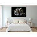 CANVAS PRINT TIGER - PICTURES OF ANIMALS{% if product.category.pathNames[0] != product.category.name %} - PICTURES{% endif %}