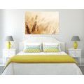 CANVAS PRINT WHEAT FIELD - PICTURES OF NATURE AND LANDSCAPE - PICTURES