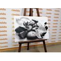 CANVAS PRINT BEAUTIFUL INTERPLAY OF STONES AND ORCHIDS IN BLACK AND WHITE - BLACK AND WHITE PICTURES - PICTURES