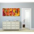 5-PIECE CANVAS PRINT AUTUMN LEAVES - STILL LIFE PICTURES - PICTURES