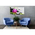 QUADRO NATURA MORTA A TEMA BENESSERE CON ORCHIDEA VIOLA - QUADRI FENG SHUI - QUADRI