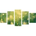 5-PIECE CANVAS PRINT MORNING DEW - PICTURES OF NATURE AND LANDSCAPE - PICTURES