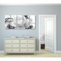 5-PIECE CANVAS PRINT LUXURY ROSE IN BLACK AND WHITE - BLACK AND WHITE PICTURES - PICTURES