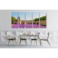 5-PIECE CANVAS PRINT PROVENCE WITH LAVENDER FIELDS - PICTURES FLOWERS - PICTURES