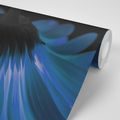 SELF ADHESIVE WALL MURAL BLUE GERBERA - SELF-ADHESIVE WALLPAPERS - WALLPAPERS