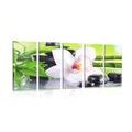 5-PIECE CANVAS PRINT JAPANESE ORCHID - PICTURES FENG SHUI - PICTURES