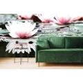 SELF ADHESIVE WALL MURAL LOTUS FLOWER - WALLPAPERS - 🔥 TOTAL SALE 🔥