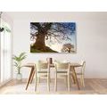 CANVAS PRINT SYMBIOSIS OF TREES - PICTURES OF NATURE AND LANDSCAPE - PICTURES