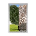 AFFICHE ARBRE SOUS DEUX FORMES - NATURE - AFFICHES