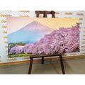 CANVAS PRINT BEAUTIFUL JAPAN - PICTURES OF NATURE AND LANDSCAPE - PICTURES