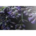 CANVAS PRINT LAVENDER BOUQUET - PICTURES FLOWERS{% if product.category.pathNames[0] != product.category.name %} - PICTURES{% endif %}