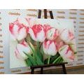 CANVAS PRINT SPRING TULIPS - PICTURES FLOWERS - PICTURES