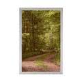 FRAMED POSTER GREEN FOREST - NATURE - POSTERS