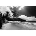 SELBSTKLEBENDE FOTOTAPETE STRAND AUF DER SEYCHELLEN-INSEL IN SCHWARZ-WEISS - SELBSTKLEBENDE TAPETEN - TAPETEN