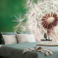 SELF ADHESIVE WALL MURAL BEAUTIFUL DETAIL OF A DANDELION - SELF-ADHESIVE WALLPAPERS - WALLPAPERS