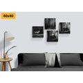 CANVAS PRINT SET FOREST ANIMALS IN BLACK AND WHITE - SET OF PICTURES - PICTURES