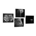 CANVAS PRINT SET ANIMALS IN BLACK AND WHITE STYLE - SET OF PICTURES - PICTURES