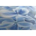 CANVAS PRINT BLUE-WHITE HYDRANGEA FLOWERS - PICTURES FLOWERS - PICTURES