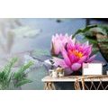 SELF ADHESIVE WALL MURAL PINK LOTUS FLOWER - SELF-ADHESIVE WALLPAPERS - WALLPAPERS