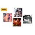 CANVAS PRINT SET TENDERNESS OF FLOWERS - SET OF PICTURES - PICTURES