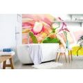 SELF ADHESIVE WALL MURAL RAINBOW ROSE - SELF-ADHESIVE WALLPAPERS - WALLPAPERS