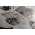 OBRAZ ZEBRA S NOVINAMI NA ZÁCHODE - OBRAZY ZEBRY A ŽIRAFY - OBRAZY