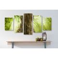 5-PIECE CANVAS PRINT TREE TRUNK - PICTURES OF NATURE AND LANDSCAPE - PICTURES