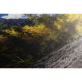 CANVAS PRINT PICTURESQUE MOUNTAIN LANDSCAPE - PICTURES OF NATURE AND LANDSCAPE - PICTURES