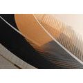 CANVAS PRINT ABSTRACT FEATHER SHAPES - PICTURES OF ABSTRACT SHAPES - PICTURES