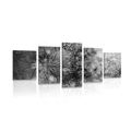 5-PIECE CANVAS PRINT FLORAL MANDALA IN BLACK AND WHITE - BLACK AND WHITE PICTURES - PICTURES