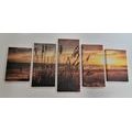 5-PIECE CANVAS PRINT SUNSET ON A BEACH - PICTURES OF NATURE AND LANDSCAPE - PICTURES