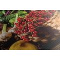 CANVAS PRINT FRESH FRUITS AND VEGETABLES - PICTURES - 🔥 TOTAL SALE 🔥