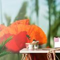 WALL MURAL RED POPPY - WALLPAPERS FLOWERS - WALLPAPERS