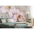 SELF ADHESIVE WALL MURAL LILY ON AN ELEGANT LEAF - SELF-ADHESIVE WALLPAPERS - WALLPAPERS