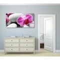 IMPRESSION SUR TOILE FLEURS D'ORCHIDÉES SUR DES PIERRES BLANCHES - IMPRESSIONS SUR TOILE FENG SHUI - IMPRESSION SUR TOILE