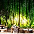 WALL MURAL FRESHNESS OF THE FOREST - WALLPAPERS NATURE - WALLPAPERS