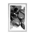 POSTER WITH MOUNT BLOOMING ORCHID AND WELLNESS STONES IN BLACK AND WHITE - BLACK AND WHITE - POSTERS