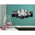 5-PIECE CANVAS PRINT WELLNESS STILL LIFE IN BLACK AND WHITE - BLACK AND WHITE PICTURES - PICTURES