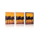 POSTER SUNSET OVER PALM TREES - NATURE - POSTERS