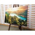 CANVAS PRINT RIVER IN THE MIDDLE OF A GREEN FOREST - PICTURES OF NATURE AND LANDSCAPE - PICTURES