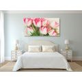 CANVAS PRINT TULIPS WITH A SPRING TOUCH - PICTURES FLOWERS - PICTURES