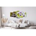 5-PIECE CANVAS PRINT SPA STILL LIFE - PICTURES FENG SHUI - PICTURES