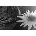 CANVAS PRINT FLOWERS ON A BLACK AND WHITE BACKGROUND - BLACK AND WHITE PICTURES - PICTURES
