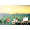 SELF ADHESIVE WALL MURAL POPPIES IN THE GRASS - SELF-ADHESIVE WALLPAPERS - WALLPAPERS