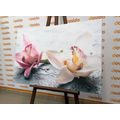 CANVAS PRINT TWO COLORFUL ORCHID FLOWERS - PICTURES FLOWERS - PICTURES